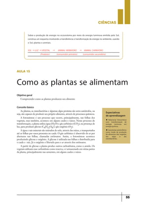 CIÊNCIaS
55
aula 15
Como as plantas se alimentam
Expectativas
de aprendizagem
u Relacionar fotossíntese
com transformação de
energia luminosa em
energia química.
u Caracterizar autotrofismo
como modo de produção
de alimentos dos vegetais,
das algas e das
cianobactérias.
Objetivo geral
Compreender como as plantas produzem seu alimento
Conceito básico
As plantas, as cianobactérias e algumas algas protistas são seres autótrofos, ou
seja, são capazes de produzir seu próprio alimento, através de processos químicos.
A fotossíntese é um processo que ocorre, principalmente, nas folhas dos
vegetais, mas também, acontece em alguns caules e raízes. Nesse processo de
transformação, a planta utiliza água (H2O) e gás carbônico (CO2), na presença de
luz, para produzir glicose (C6H12O6) e gás oxigênio (O2).
A água e sais minerais são retirados do solo, através das raízes, e transportados
até as folhas por vasos presentes no caule. O gás carbônico é absorvido do ar por
aberturas nas folhas, chamadas estômatos. Assim, a fotossíntese acontece
produzindo glicose e oxigênio. A glicose é utilizada nas folhas e distribuída para
o caule e raiz. Já o oxigênio e liberado para o ar através dos estômatos.
A partir da glicose a planta produz outros carboidratos, como o amido. Os
vegetais utilizam esse carboidrato como reserva, e é armazenado em várias partes
da planta, principalmente nas sementes, em alguns caules e raízes.
Sobre a produção de energia no ecossistema por meio da energia luminosa emitida pelo Sol,
construa um esquema mostrando a transferência e transformação da energia no ambiente, usando
o Sol, plantas e animais.
SOL → LUZ → VEGETAL → ANIMAL HERBIVORO → ANIMAL CARNIVORO
(Produtor) (consumidor primário) (consumidor secundário)
 