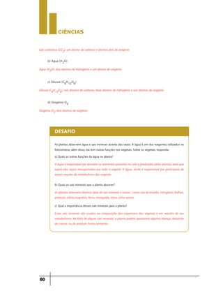 CIÊNCIaS
60
b) Água (H2O)
Gás carbônico (CO2): um átomo de carbono e átomos dois de oxigênio
Água (H2O): dois átomos de hidrogênio e um átomo de oxigênio
c) Glicose (C6H12O6)
Glicose (C6H12O6): seis átomos de carbono, doze átomos de hidrogênio e seis átomos de oxigênio
d) Oxigênio O2
Oxigênio O2: dois átomos de oxigênio
As plantas absorvem água e sais minerais através das raízes. A água é um dos reagentes utilizados na
fotossíntese, além disso, ela tem outras funções nos vegetais. Sobre os vegetais, responda:
a) Quais as outras funções da água na planta?
A água é responsável por dissolver os nutrientes presentes no solo e produzidos pelas plantas, para que
sejam eles sejam transportados por todo o vegetal. A água, ainda é responsável por participara de
outras reações do metabolismo dos vegetais.
DESAFIO
b) Quais os sais minerais que a planta absorve?
As plantas absorvem diversos tipos de sais minerais e outros , como sais de enxofre, nitrogênio, fósforo,
potássio, cálcio,magnésio, ferro, manganês, zinco, entre outros.
c) Qual a importância desses sais minerais para a planta?
Esses sais minerais são usados na composição dos organismo dos vegetais e em reações de seu
metabolismo. Na falta de alguns sais minerais, a planta poderá apresentar alguma doença, deixando
de crescer, ou de produzir frutos/sementes.
 