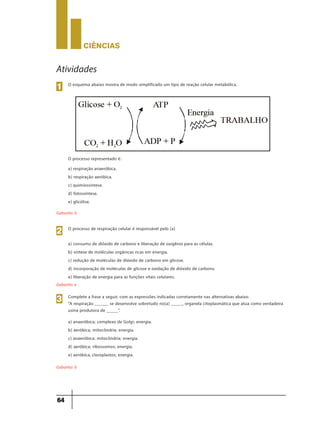 CIÊNCIaS
64
O processo representado é:
Gabarito: b
a) respiração anaeróbica.
b) respiração aeróbica.
c) quimiossíntese.
d) fotossíntese.
e) glicólise.
O processo de respiração celular é responsável pelo (a)
Gabarito: e
a) consumo de dióxido de carbono e liberação de oxigênio para as células.
b) síntese de moléculas orgânicas ricas em energia.
c) redução de moléculas de dióxido de carbono em glicose.
d) incorporação de moléculas de glicose e oxidação de dióxido de carbono.
e) liberação de energia para as funções vitais celulares.
2
Complete a frase a seguir, com as expressões indicadas corretamente nas alternativas abaixo:
“A respiração ______ se desenvolve sobretudo no(a) _____, organela citoplasmática que atua como verdadeira
usina produtora de _____”.
Gabarito: b
a) anaeróbica; complexo de Golgi; energia.
b) aeróbica; mitocôndria; energia.
c) anaeróbica; mitocôndria; energia.
d) aeróbica; ribossomos; energia.
e) aeróbica, cloroplastos; energia.
3
O esquema abaixo mostra de modo simplificado um tipo de reação celular metabólica.
1
Atividades
 