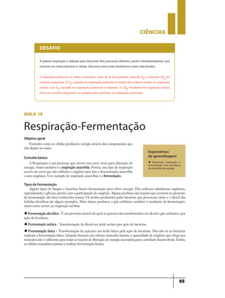 CIÊNCIaS
65
A palavra respiração é utilizada para descrever dois processos distintos, porém interdependentes, que
ocorrem em nível pulmonar e celular. Descreva como estes fenômenos estão relacionados.
A respiração pulmonar se refere à entrada e saída de ar dos pulmões, levando O2 e retirando CO2 da
corrente sanguínea. O O2, captado na respiração pulmonar, é levado até a célula e então, na respiração
celular, este O2 captado na respiração pulmonar é utilizado. O CO2 resultante da respiração celular
entra na corrente sanguínea e é exalado pelos pulmões, na respiração pulmonar.
DESAFIO
Objetivogeral
Entender como as células produzem energia através dos componentes que
elas dispõe no meio.
Expectativas
de aprendizagem
u Relacionar respiração e
fermentação com processos
de obtenção de energia
Conceitobásico
A Respiração é um processo que ocorre nos seres vivos para obtenção de
energia. Assim também é a respiração anaeróbia. Porém, esse tipo de respiração
ocorre em seres que não utilizam o oxigênio (por isso a denominação anaeróbia
= sem oxigênio). Um exemplo de respiração anaeróbia é a fermentação.
TiposdeFermentação
Alguns tipos de fungos e bactérias fazem fermentação para obter energia. Eles utilizam substâncias orgânicas,
especialmente a glicose, porém, sem a participação do oxigênio. Alguns produtos das reações que ocorrem no processo
de fermentação são bem conhecidos nossos. Os ácidos produzidos pelas bactérias que provocam cáries e o álcool das
bebidas alcoólicas são alguns exemplos. Além desses produtos, o gás carbônico também é resultante da fermentação,
assim como ocorre na respiração aeróbia.
uFermentação alcoólica - É um processo através do qual os açúcares são transformados em álcool e gás carbônico, por
ação de leveduras.
uFermentação acética - Transformação do álcool em ácido acético por ação de bactérias.
u Fermentação lática - Transformação de açúcares em ácido lático pela ação de bactérias. Mas não só as bactérias
realizam a fermentação lática. Quando fazemos um esforço muscular intenso, a quantidade de oxigênio que chega nos
músculos não é suficiente para todas as reações de liberação de energia necessária para a atividade desenvolvida. Então,
as células musculares passam a realizar fermentação láctica.
aula 19
Respiração-Fermentação
 