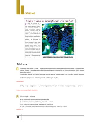 CIÊNCIaS
66
Ovinho, por definição, é o
resultado da fermentação de
uvas. Ela ocorre quando as cascas de
uvas se rompem, permitindo que
fungos microscópicos, chamados
leveduras, penetrem no fruto. Eles
transformam os açucares da uva
(glicose e frutose) em álcool e gás
carbônico. Ao mesmo tempo, outras
reações bioquímicas vão acontecer, de
acordo com os tipos de uva, de
levedura e de fermentação. Tal
processo só cessa quando o açucar
termina ou quando o álcool atinge
uma concentração mortal para as
leveduras, cerca de 16%. Os vinhos
tintos são feitos de uvas pretas com
cascas e talos. Os brancos podem usar
uvas brancas ou pretas - neste caso,
cascas e talos ficam de fora para não
atingir a polpa, que é branca. Os rosés
são produzidos a partir de uvas pretas,
sem os talos. O sumo é separado das
cascas logo que começa a ficar rosado.
Uvas escuras podem produzir vinhos tintos, brancos ou rosés. Nos dois
últimos, cascas e talos são descartados em algum estágio da vinificação
Fonte:Superinteressanten°54,2008
O hábito de fazer, dividir e comer o pão possui um valor simbólico, presente em diferentes culturas. Pode significar o
fruto do trabalho, a dignidade de um chefe de família, um ato de comunhão ou até mesmo um meio de alguns homens
explo-rarem outros.
Éinteressante observarque a produção do“pão nosso de cada dia”está relacionada a um importante processo biológico.
1
Atividades
a) Identifique o processo biológico presente na fabricação do pão.
Fermentação.
b) Diga por que este processo é fundamental para a manutenção da vida dos microrganismos que o realizam.
Porque garante a produção de energia.
a) por organismos unicelulares e vegetais em geral.
b) por microrganismos e vertebrados, incluindo o homem.
c) por todos os fungos e células hepáticas dos mamíferos.
d) com a finalidade de transformar energia radiante em energia potencial química.
Gabarito: b
A fermentação é realizada:
2
 