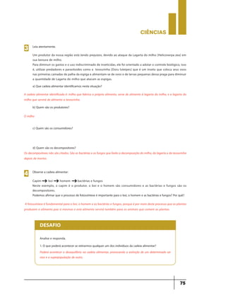 CIÊNCIaS
75
Leia atentamente.
a) Que cadeia alimentar identificamos nesta situação?
Um produtor da nossa região está tendo prejuízos, devido ao ataque da Lagarta do milho (Helicoverpa zea) em
sua lavoura de milho.
Para diminuir os gastos e o uso indiscriminado de inseticidas, ele foi orientado a adotar o controle biológico, isso
é, utilizar predadores e parasitoides como a tesourinha (Doru luteipes) que é um inseto que coloca seus ovos
nas primeiras camadas de palha da espiga e alimentam-se de ovos e de larvas pequenas dessa praga para diminuir
a quantidade de Lagarta do milho que atacam as espigas.
3
A cadeia alimentar identificada é: milho que fabrica o próprio alimento, serve de alimento à lagarta do milho, e a lagarta do
milho que servirá de alimento a tesourinha.
b) Quem são os produtores?
O milho
c) Quem são os consumidores?
d) Quem são os decompositores?
Os decompositores não são citados. São as bactérias e os fungos que farão a decomposição do milho, da lagarta e da tesourinha
depois de mortos.
Observe a cadeia alimentar:
Capim boi homem bactérias e fungos
Neste exemplo, o capim é o produtor, o boi e o homem são consumidores e as bactérias e fungos são os
decompositores.
Podemos afirmar que o processo de fotossíntese é importante para o boi, o homem e as bactérias e fungos? Por quê?
4
g g g
A fotossíntese é fundamental para o boi, o homem e as bactérias e fungos, porque é por meio deste processo que as plantas
produzem o alimento paa si mesmas e este alimento servirá também para os animais que comem as plantas.
Analise e responda.
1. O que poderá acontecer se retirarmos qualquer um dos indivíduos da cadeia alimentar?
Poderá acontecer o desequilíbrio na cadeia alimentar, provocando a extinção de um determinado ser
vivo e a superpopulação de outro.
DESAFIO
 