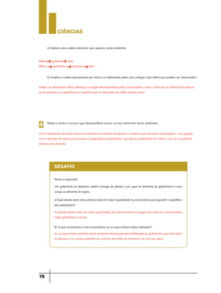 CIÊNCIaS
78
a) Elabore uma cadeia alimentar que aparece neste ambiente.
b) Analise a cadeia apresentada por você e as elaboradas pelos seus colegas. Que diferenças podem ser observadas?
Milho galinha lobo
Milh o gafanhoto pássaros lobo
Podem ser observadas várias diferenças no papel desempenhado pelos consumidores, como: o lobo que se alimenta do pássaro
ou da galinha ou o gafanhoto ou a galinha que se alimentam do milho, dentre outras.
g g
g g g
Releia o texto e escreva que desequilíbrio houve na teia alimentar deste ambiente.
4
Com o extermínio dos lobos houve um aumento no número de pássaros e roedores que atacavam a plantação e , em seguida
com a extinção dos pássaros aumentou a população de gafanhotos que atacou a plantação de milho e com isto as galinhas
ficaram sem alimento.
Pense e responda!
Um gafanhoto se alimenta, obtém energia da planta e um sapo se alimenta de gafanhotos e uma
coruja se alimenta de sapos.
a) Qualdestes seres vivos precisa estar em maior quantidade no ecossistema para garantir o equilíbrio
das populações?
B) O que acontecerá a este ecossistema se os sapos forem todos retirados?
As plantas devem estar em maior quantidade, pois elas fornecem a energia necessária aos consumidores
(sapo, gafanhoto e coruja).
DESAFIO
Se os sapos forem retirados deste ambiente haverá grande proliferação de gafanhotos que destruirão
as plantas e as corujas poderão ser extintas por falta de alimento, no caso os sapos.
 