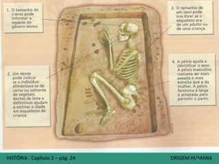 34
Seja qual for a maneira pela qual surgiram os primeiros humanos, como seriam
nossos ancestrais?
Esqueleto fossilizado encontrado na
França. De acordo com
pesquisadores, possui 5000 anos de
idade.
Fóssil (do latim fossile, que significa
“extraído da terra”) é too
organismo – ou o que restou dele
ou, ainda, os vestígios de sua
atividade em certo ambiente – que
se conservou por milhares e até
milhões de anos.
Pág. 26
Os primeiros humanos
HISTÓRIA . Capítulo 2 – pág. 24 ORIGEM HUMANA
 