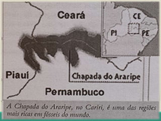 A “Pré-história” cearense
Importância dos fósseis nessas regiões:
1. Provam a evolução das espécies vivas e do planeta;
2. Informam sobre os antigos ambientes das áreas onde são
encontrados:
₋ 140 milhões de anos : Chapada do Araripe era um grande lago, o
qual acabou inundado pelo mar e que deixou de existir devido aos
movimentos da crosta terrestre – a área, então, secou, verificando-se
a fossilização das espécies que ali viviam;
₋ Mamíferos gigantes (10 mil anos) – Sertão Central ( Quixadá,
Quixeramobim, Morada Nova, Banabuiú, Russas, Alto Santo,
Jaguaretama e Jaguaribe) e na região Norte do estado (Ubajara,
Sobral, Itapipoca, Itapajé, Tururu e Pacajus).
₋Ossadas de preguiças e tatus gigantes, além de tigres dente-de-
sabre e texodontes, bem como inscrições e desenhos humanos de
milhares de anos em rochas- área de Tauá, nos Inhamuns.
 