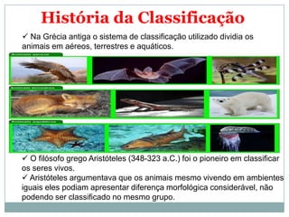 História da Classificação
 Na Grécia antiga o sistema de classificação utilizado dividia os
animais em aéreos, terrestres e aquáticos.




 O filósofo grego Aristóteles (348-323 a.C.) foi o pioneiro em classificar
os seres vivos.
 Aristóteles argumentava que os animais mesmo vivendo em ambientes
iguais eles podiam apresentar diferença morfológica considerável, não
podendo ser classificado no mesmo grupo.
 