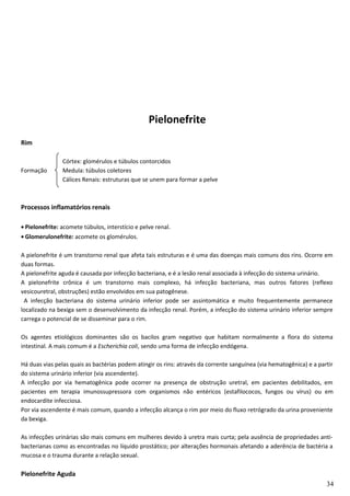 Pielonefrite
Rim
Córtex: glomérulos e túbulos contorcidos
Formação Medula: túbulos coletores
Cálices Renais: estruturas que se unem para formar a pelve
Processos inflamatórios renais
• Pielonefrite: acomete túbulos, interstício e pelve renal.
• Glomerulonefrite: acomete os glomérulos.
A pielonefrite é um transtorno renal que afeta tais estruturas e é uma das doenças mais comuns dos rins. Ocorre em
duas formas.
A pielonefrite aguda é causada por infecção bacteriana, e é a lesão renal associada à infecção do sistema urinário.
A pielonefrite crônica é um transtorno mais complexo, há infecção bacteriana, mas outros fatores (reflexo
vesicouretral, obstruções) estão envolvidos em sua patogênese.
A infecção bacteriana do sistema urinário inferior pode ser assintomática e muito frequentemente permanece
localizado na bexiga sem o desenvolvimento da infecção renal. Porém, a infecção do sistema urinário inferior sempre
carrega o potencial de se disseminar para o rim.
Os agentes etiológicos dominantes são os bacilos gram negativo que habitam normalmente a flora do sistema
intestinal. A mais comum é a Escherichia coli, sendo uma forma de infecção endógena.
Há duas vias pelas quais as bactérias podem atingir os rins: através da corrente sanguínea (via hematogênica) e a partir
do sistema urinário inferior (via ascendente).
A infecção por via hematogênica pode ocorrer na presença de obstrução uretral, em pacientes debilitados, em
pacientes em terapia imunossupressora com organismos não entéricos (estafilococos, fungos ou vírus) ou em
endocardite infecciosa.
Por via ascendente é mais comum, quando a infecção alcança o rim por meio do fluxo retrógrado da urina proveniente
da bexiga.
As infecções urinárias são mais comuns em mulheres devido à uretra mais curta; pela ausência de propriedades anti-
bacterianas como as encontradas no líquido prostático; por alterações hormonais afetando a aderência de bactéria a
mucosa e o trauma durante a relação sexual.
Pielonefrite Aguda
34
 