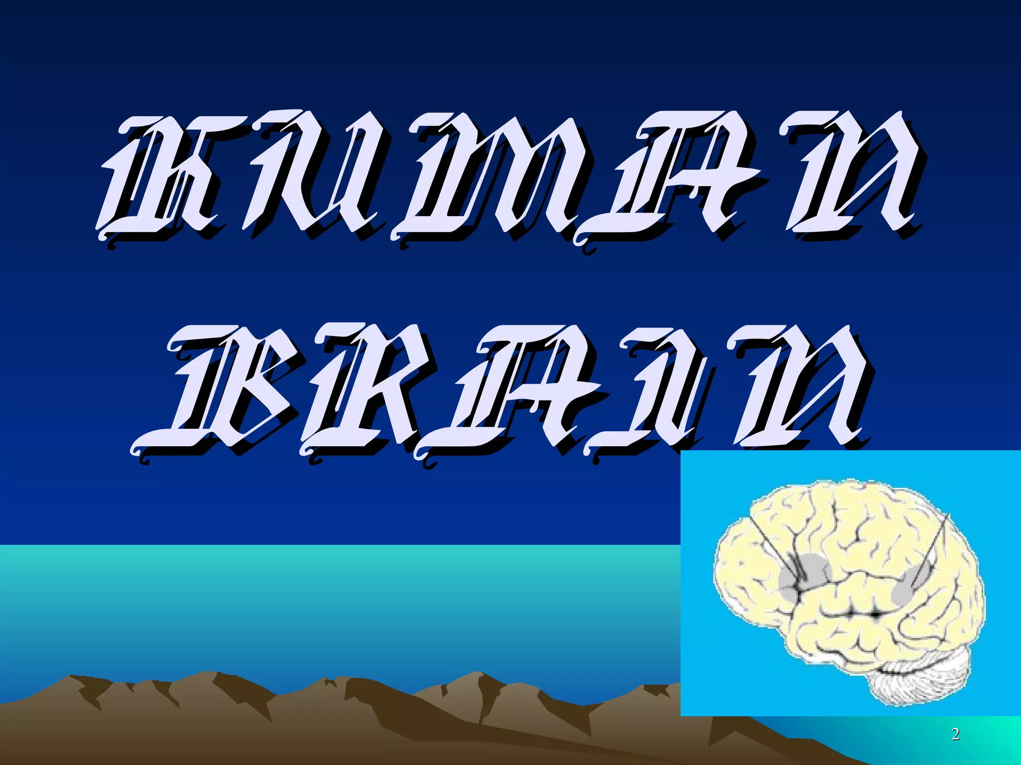 Humanor not? visual data 4