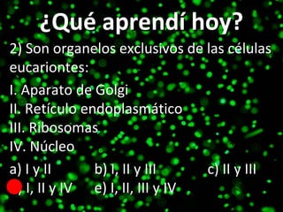 ¿Qué aprendí hoy? 2) Son organelos exclusivos de las células eucariontes:   I. Aparato de Golgi II. Retículo endoplasmátic...