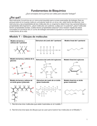 1
¿Por qué?
Fundamentos de Bioquímica
¿Qué conceptos de la química son útiles para estudiar biología?
Normalmente, la química es un ramo prerrequisito para cursos avanzados de biología. Esto es
porque todo en tu cuerpo, todo en una planta, todo en un virus, etc. está hecho de átomos. Las
estructuras y las propiedades de las moléculas de un organismo determinan las características y
propiedades del organismo. ¿Qué moléculas son polares, cuáles son no polares? ¿Qué moléculas
tienen propiedades ácidas, cuáles tienen propiedades básicas? Una revisión rápida de estos
conceptos al comienzo de un curso de biología avanzada lo ayudará a comprender las bases
moleculares de la vida.
Modelo 1 – Dibujos de moléculas
1. Nombra las tres moléculas que están ilustradas en el modelo 1
2. Nombra los tres tipos de dibujos que se usan para ilustrar las moléculas en el Modelo 1.
 