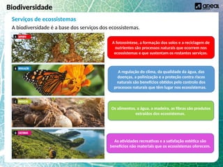 A biodiversidade na Terra e níveis de organização biológica | PPTX
