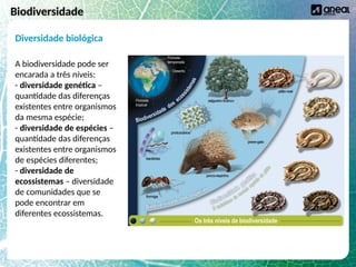 A biodiversidade na Terra e níveis de organização biológica | PPTX