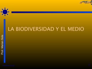 LA BIODIVERSIDAD Y EL MEDIO
Prof. Marian Sola




          12/02/13 13:49                          1
 