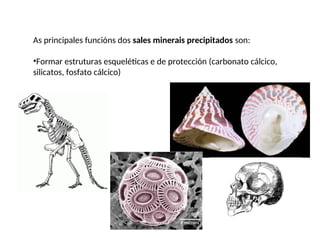 1) Bioelementos e biomolec. inorgánicas.ppt
