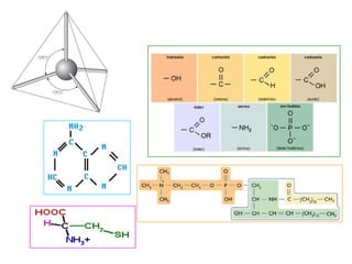 1) Bioelementos e biomolec. inorgánicas.ppt