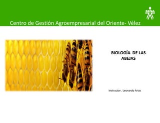 Centro de Gestión Agroempresarial del Oriente- Vélez
BIOLOGÍA DE LAS
ABEJAS
Instructor . Leonardo Arias
 