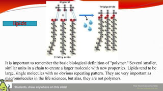 1 _ BIOLOGICAL MOLECULES CARBOHYDRATES 1.pptx