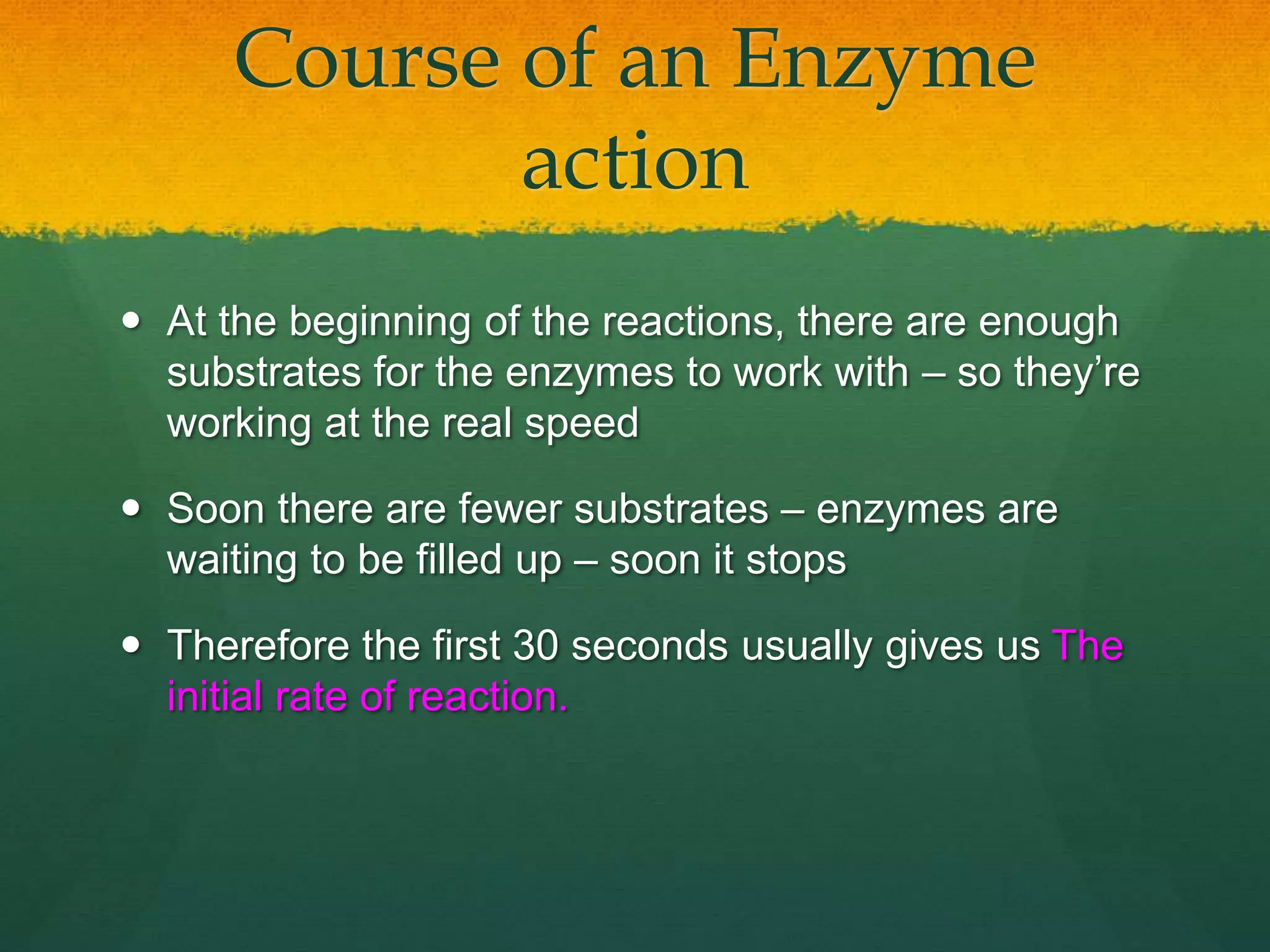 AS Level Biology - 3) Enzymes | PPTX