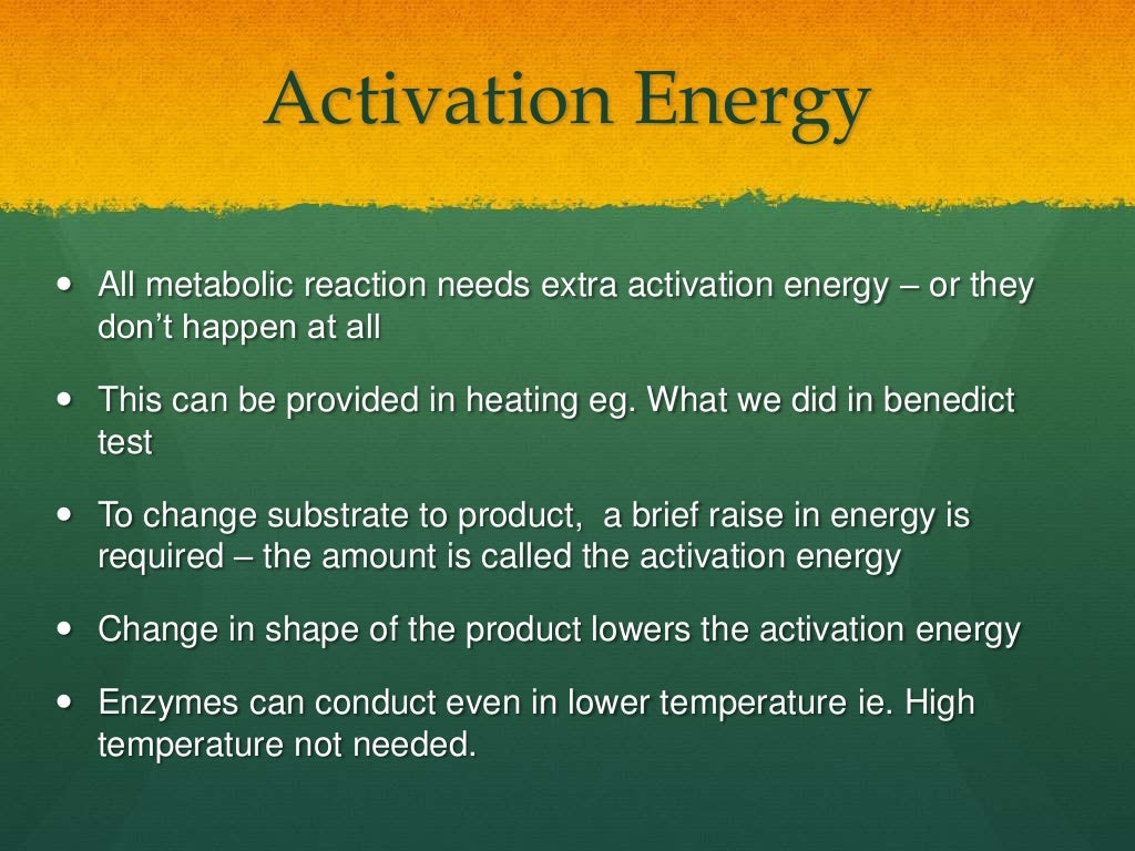 Level biology coursework enzymes image