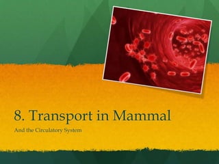 8. Transport in Mammal
And the Circulatory System
 