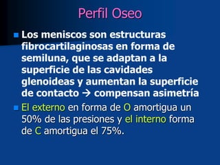 Perfil Oseo
 Los meniscos son estructuras
fibrocartilaginosas en forma de
semiluna, que se adaptan a la
superficie de las cavidades
glenoideas y aumentan la superficie
de contacto  compensan asimetría
 El externo en forma de O amortigua un
50% de las presiones y el interno forma
de C amortigua el 75%.
 