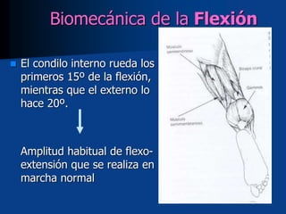 Biomecánica de la Flexión
 El condilo interno rueda los
primeros 15º de la flexión,
mientras que el externo lo
hace 20º.
Amplitud habitual de flexo-
extensión que se realiza en
marcha normal
 