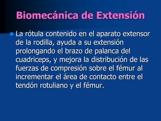 Biomecánica de Extensión
 La rótula contenido en el aparato extensor
de la rodilla, ayuda a su extensión
prolongando el brazo de palanca del
cuadriceps, y mejora la distribución de las
fuerzas de compresión sobre el fémur al
incrementar el área de contacto entre el
tendón rotuliano y el fémur.
 