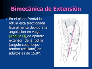 Bimecánica de Extensión
 En el plano frontal la
rótula esta traccionada
lateralmente debido a la
angulación en valgo
(Angulo Q),de aparato
extensor de la rodilla
(angulo cuadriceps-
tendon rotuliano) en
adultos es de 15.8º.
Q
 