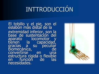 El tobillo y el pie, son el
eslabón más distal de la
extremidad inferior, son la
base de sustentación del
aparato locomotor y
tienen la capacidad,
gracias a su peculiar
biomecánica, de
convertirse en una
estructura rígida o flexible
en función de las
necesidades.
INTTRODUCCIÓN
 