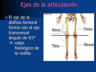 Ejes de la articulación
 El eje de la
diáfisis femoral
forma con el eje
transversal
ángulo de 81º
 valgo
fisiológico de
la rodilla
81º
170-175º
 