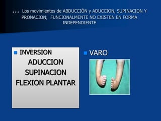 … Los movimientos de ABDUCCIÓN y ADUCCION, SUPINACION Y
PRONACION; FUNCIONALMENTE NO EXISTEN EN FORMA
INDEPENDIENTE
 INVERSION
ADUCCION
SUPINACION
FLEXION PLANTAR
 VARO
 