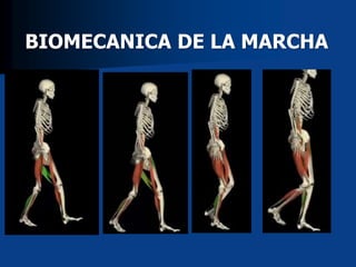 BIOMECANICA DE LA MARCHA
 