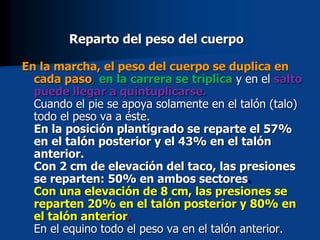Reparto del peso del cuerpo
En la marcha, el peso del cuerpo se duplica en
cada paso, en la carrera se triplica y en el salto
puede llegar a quintuplicarse.
Cuando el pie se apoya solamente en el talón (talo)
todo el peso va a éste.
En la posición plantígrado se reparte el 57%
en el talón posterior y el 43% en el talón
anterior.
Con 2 cm de elevación del taco, las presiones
se reparten: 50% en ambos sectores.
Con una elevación de 8 cm, las presiones se
reparten 20% en el talón posterior y 80% en
el talón anterior.
En el equino todo el peso va en el talón anterior.
 