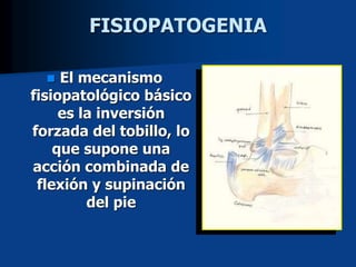 FISIOPATOGENIA
 El mecanismo
fisiopatológico básico
es la inversión
forzada del tobillo, lo
que supone una
acción combinada de
flexión y supinación
del pie
 