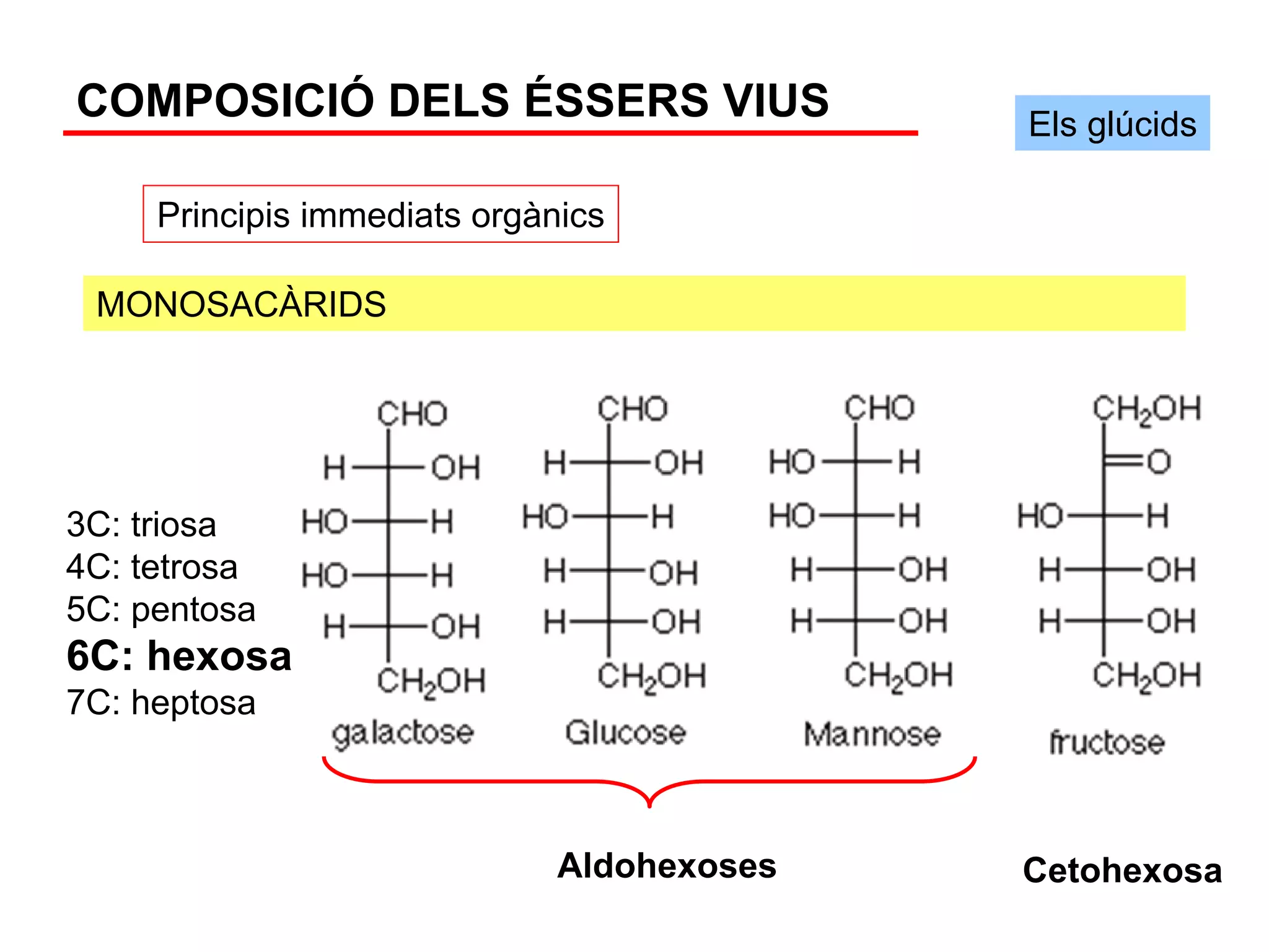 COMPOSICIÓ DELS ÉSSERS VIUS                 Els glúcids

     Principis immediats orgànics

 MONOSACÀRIDS




3C: triosa
4C: tetrosa
5C: pentosa
6C: hexosa
7C: heptosa



                              Aldohexoses   Cetohexosa
 