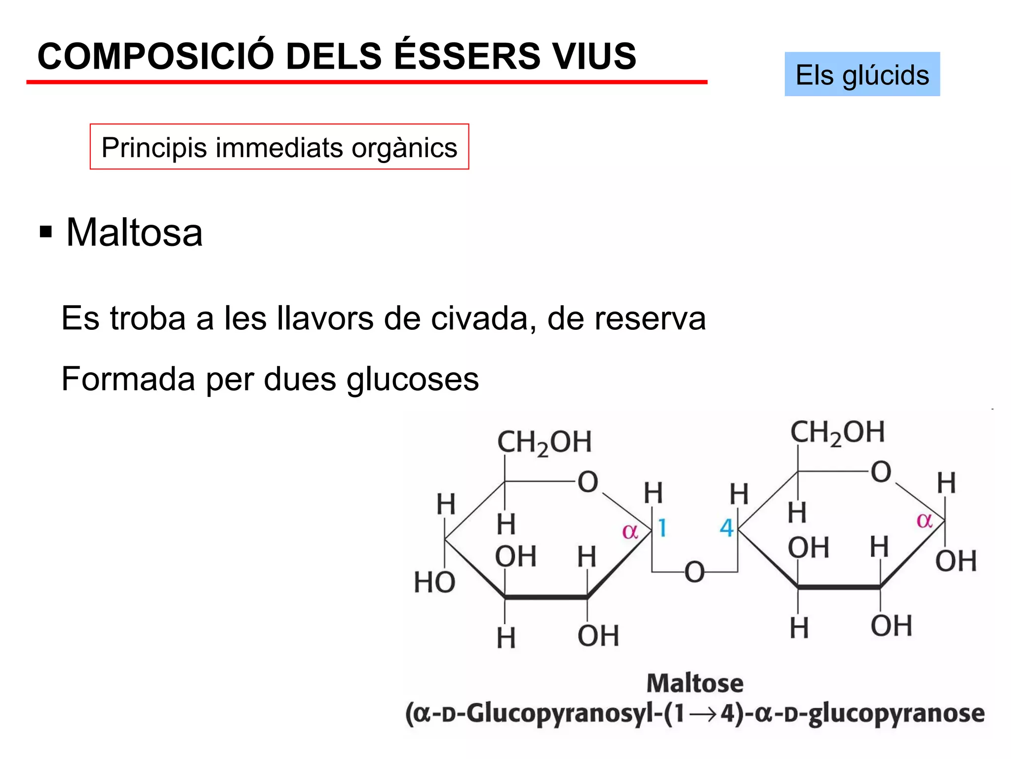 COMPOSICIÓ DELS ÉSSERS VIUS                     Els glúcids

   Principis immediats orgànics


 Maltosa

 Es troba a les llavors de civada, de reserva
 Formada per dues glucoses
 