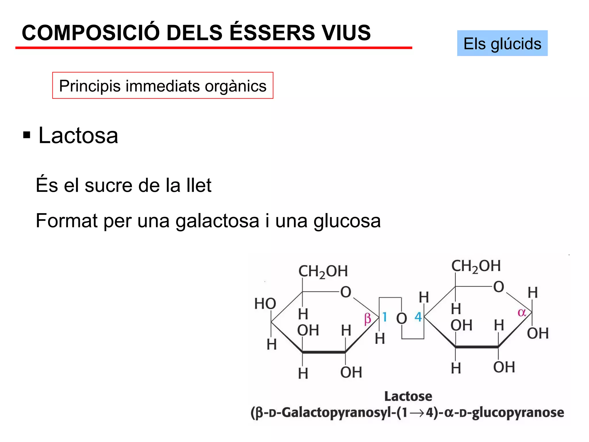 COMPOSICIÓ DELS ÉSSERS VIUS               Els glúcids

   Principis immediats orgànics


 Lactosa

 És el sucre de la llet
 Format per una galactosa i una glucosa
 