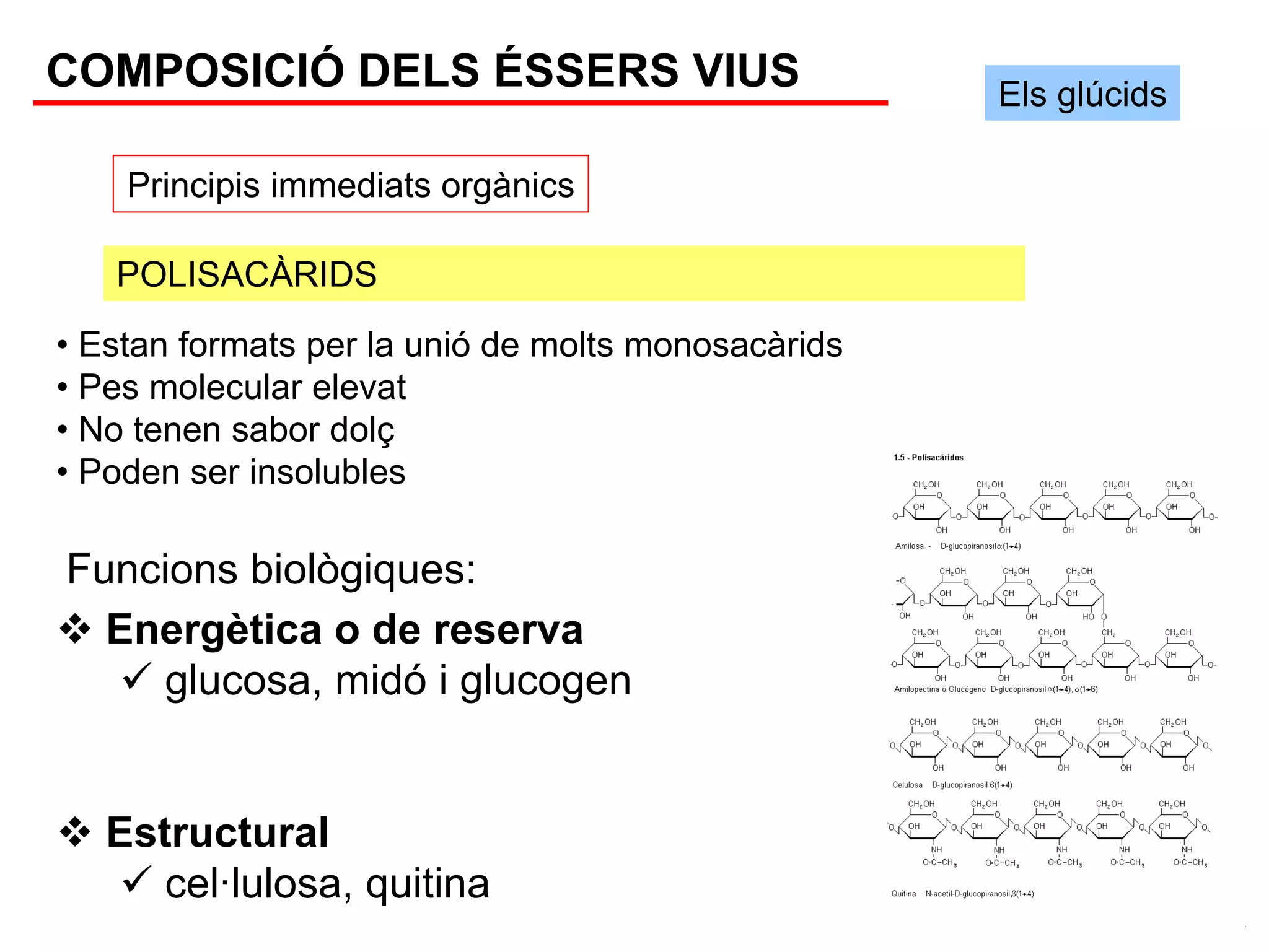 COMPOSICIÓ DELS ÉSSERS VIUS                         Els glúcids

    Principis immediats orgànics

   POLISACÀRIDS
• Estan formats per la unió de molts monosacàrids
• Pes molecular elevat
• No tenen sabor dolç
• Poden ser insolubles

Funcions biològiques:
  Energètica o de reserva
    glucosa, midó i glucogen


   Estructural
      cel·lulosa, quitina
 