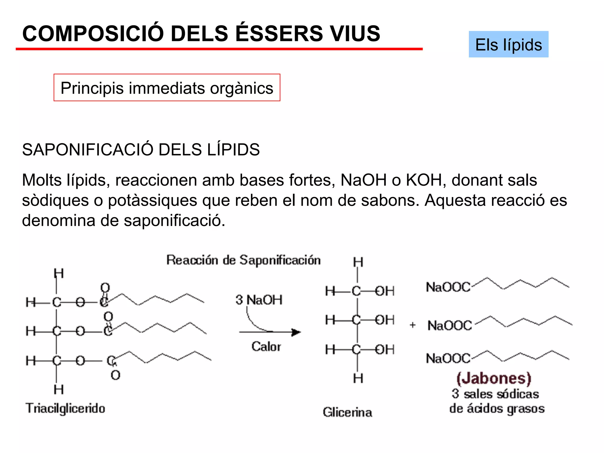 COMPOSICIÓ DELS ÉSSERS VIUS                              Els lípids

    Principis immediats orgànics


SAPONIFICACIÓ DELS LÍPIDS
Molts lípids, reaccionen amb bases fortes, NaOH o KOH, donant sals
sòdiques o potàssiques que reben el nom de sabons. Aquesta reacció es
denomina de saponificació.
 
