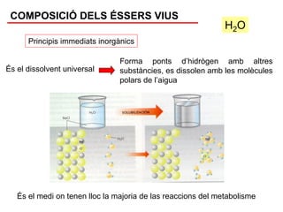 COMPOSICIÓ DELS ÉSSERS VIUS
                                                              H2O
      Principis immediats inorgànics

                                Forma ponts d’hidrògen amb altres
És el dissolvent universal      substàncies, es dissolen amb les molècules
                                polars de l’aigua




   És el medi on tenen lloc la majoria de las reaccions del metabolisme
 