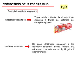 COMPOSICIÓ DELS ÉSSERS VIUS
                                                          H2O
    Principis immediats inorgànics

                               Transport de nutrients i la eliminació de
Transporta substàncies         deixalles a través de sistemes de
                               transport aquosos




                             Els ponts d'hidrogen mantenen a les
Confereix estructura         molècules fortament unides, formant una
                             estructura compacta és un líquid gairebé
                             incomprensible
 