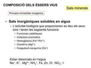 COMPOSICIÓ DELS ÉSSERS VIUS
                                                Sals minerals
   Principis immediats inorgànics


 • Sals inorgàniques solubles en aigua
   – L’activitat biològica que proporcionen es deu als seus
     ions i tenen les següents funcions:
       •   Funciones catalítiques
       •   Cofactors enzimàtics
       •   Hemoglobina (Fe2+/Fe3+)
       •   Clorofil·la (Mg2+)
       •   Coagulació sanguínia (Ca+)



   Estan dissociats en l’aigua
   Na+, K+, Mg2+, NH4+, Fe, Zn, Cl-, NO3-, I-
 