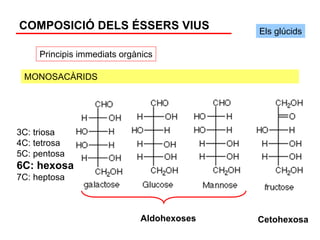 COMPOSICIÓ DELS ÉSSERS VIUS                 Els glúcids

     Principis immediats orgànics

 MONOSACÀRIDS




3C: triosa
4C: tetrosa
5C: pentosa
6C: hexosa
7C: heptosa



                              Aldohexoses   Cetohexosa
 