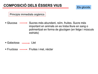 COMPOSICIÓ DELS ÉSSERS VIUS                              Els glúcids

   Principis immediats orgànics


 Glucosa          Sucres més abundant, raïm, fruites. Sucre més
                  important en animals on es troba lliure en sang o
                  polimeritzat en forma de glucògen (en fetge i músculs
                  estriats)


 Galactosa          Llet

 Fructosa         Fruites i mel, nèctar
 