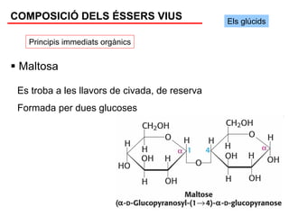 COMPOSICIÓ DELS ÉSSERS VIUS                     Els glúcids

   Principis immediats orgànics


 Maltosa

 Es troba a les llavors de civada, de reserva
 Formada per dues glucoses
 