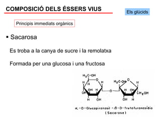 COMPOSICIÓ DELS ÉSSERS VIUS                    Els glúcids

   Principis immediats orgànics


 Sacarosa

 Es troba a la canya de sucre i la remolatxa

 Formada per una glucosa i una fructosa
 