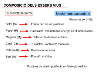 COMPOSICIÓ DELS ÉSSERS VIUS

 ELS BIOELEMENTS                         Bioelements secundaris
                                                     Proporció del 3,3%.
 Sofre (S)         Forma part de les proteïnes

 Fòsfor (P)       Ossificació, transferència energia en el metabolisme

 Magnesi (Mg)       Cofactor de diversos enzims

 Calci (Ca)        Esquelets, contracció muscular

 Potassi (K)       Conducció nerviosa

 Sodi (Na)         Pressió osmòtica


                Funcions de vital importància en fisiologia cel·lular
 
