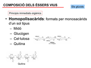 COMPOSICIÓ DELS ÉSSERS VIUS         Els glúcids

   Principis immediats orgànics

 • Homopolisacàrids: formats per monosacàrids
  d’un sol tipus
   – Midó
   – Glucògen
   – Cel·lulosa
   – Quitina




          Quitina
 