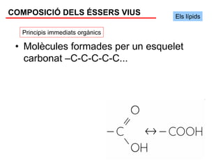 COMPOSICIÓ DELS ÉSSERS VIUS        Els lípids

  Principis immediats orgànics

 • Molècules formades per un esquelet
   carbonat –C-C-C-C-C...
 