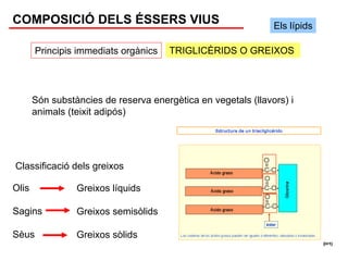 COMPOSICIÓ DELS ÉSSERS VIUS                                    Els lípids

       Principis immediats orgànics    TRIGLICÈRIDS O GREIXOS




       Són substàncies de reserva energètica en vegetals (llavors) i
       animals (teixit adipós)




Classificació dels greixos

Olis             Greixos líquids

Sagins           Greixos semisòlids

Sèus             Greixos sòlids
 